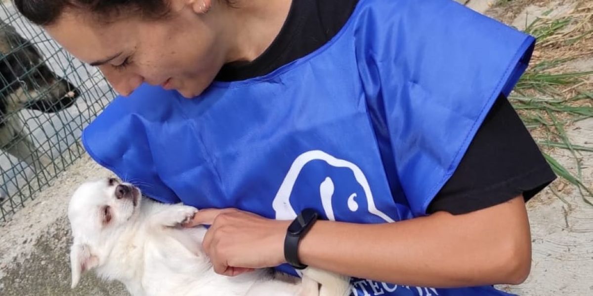Al canile di Trecastelli è importante l'aiuto dei volontari delle associazioni animaliste intervenute nel caso di brucellosi canina