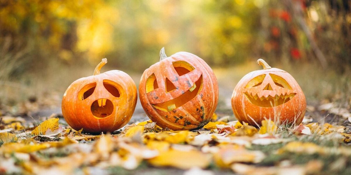 zucche di halloween su foglie autunnali
